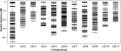 Construction of High-Density Genetic Map and Identification of a Bruchid Resistance Locus in Mung Bean (Vigna radiata L.)